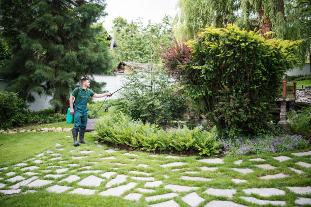 Best Best Pest Control Companies  in Fort Dodge, IA