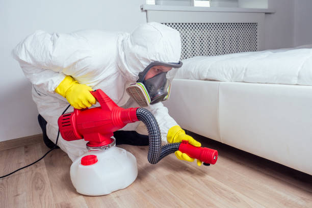 Best Local Pest Control Services  in Fort Dodge, IA