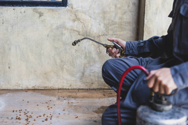 Best Emergency Pest Control  in Fort Dodge, IA