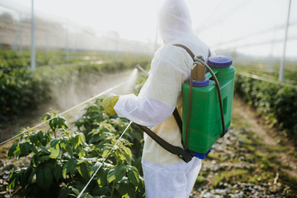 Pest Prevention Services in Fort Dodge, IA
